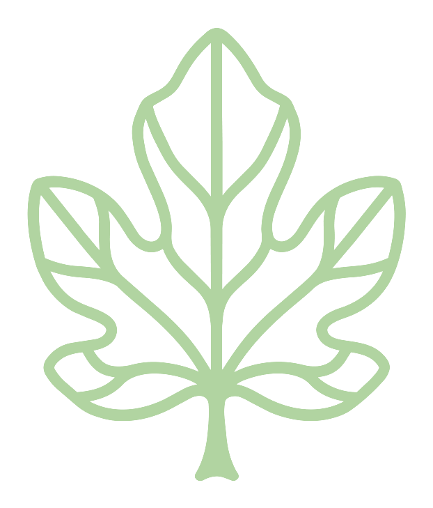 FIG LEAF 심볼